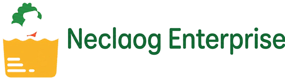Neclaog Enterprises Ecommerce system